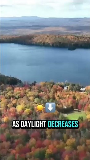 Today Is The Autumnal Equinox, A Unique Event When The Day And Night Are Nearly Equal Worldwide