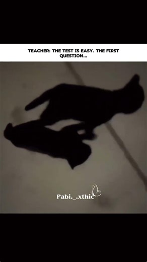 Which one is the shadow?#shorts #trending #goviral #pabi