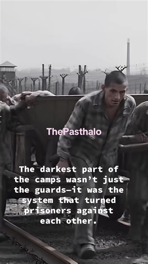 In Nazi concentration camps like Auschwitz concentration camp, some prisoners were forced to become Kapos—overseers of their fellow inmates. In a world built on terror, survival sometimes came at a terrible moral cost. #HolocaustHistory #WW2History #Auschwitz #Dachau #GreyZone