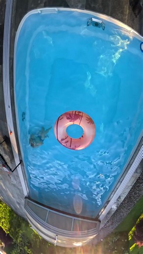 Ultimate Summer Pool Challenge with Trampoline Fun