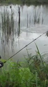 2.6K views · 41 reactions | Casting gabus Strike Toman bujang #Castingtoman #Castinggabus #yancasterfa | Yan Caster FA | Facebook