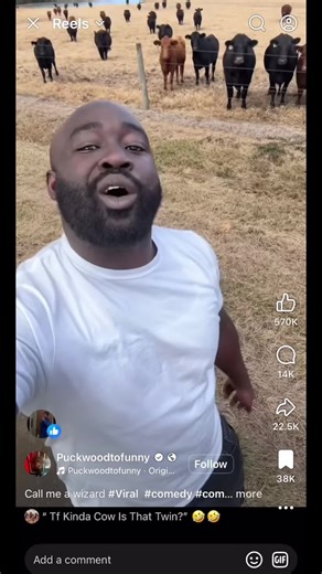 Reaction Clip #funnyvideo #reaction #fypシ #xyzbca #clip | People's Reactions