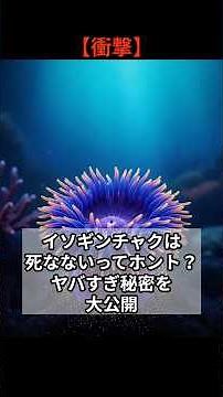 【衝撃】イソギンチャクは死なないってホント？ヤバすぎ秘密を大公開 #雑学 #特有種 #アニマル