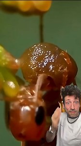 The Acacia Tree is CRAZY | Debate diggest