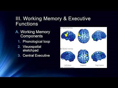 Shorter Term Memory Systems