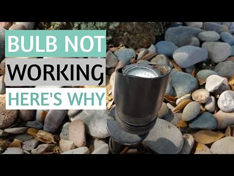 OUTDOOR LANDSCAPE LIGHTING BULB BURNT - Landscape lighting fixtures issue