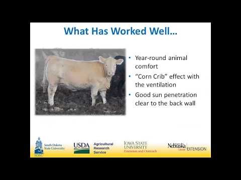 Narrow mono-slope beef barns - a virtual tour