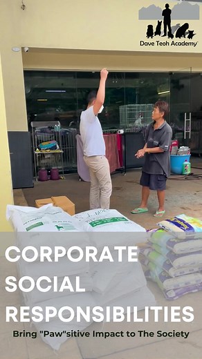 mypetshaven is a independent rescue and adoption center to rescue and rehome dogs and cats. Meeting Aunty Aileen, she has rescue animals over the past decade and I am so inspired by her love and devotion to dogs and cats. She has built and given second chance to many fur babies who have found their forever homes. It is my pleasure to help them | Dave Teoh Academy