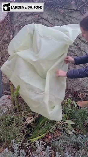 Protéger les plantes du froid avec une housse d’hivernage grande taille de qualité #jardin #astuce