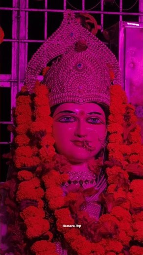 जय हो नर्मदा मैया की 😍🥹