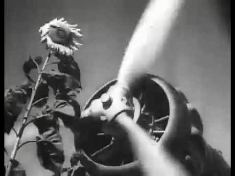 Italian ww2 song: The aviator's chant - il canto degli aviatori - english lyrics