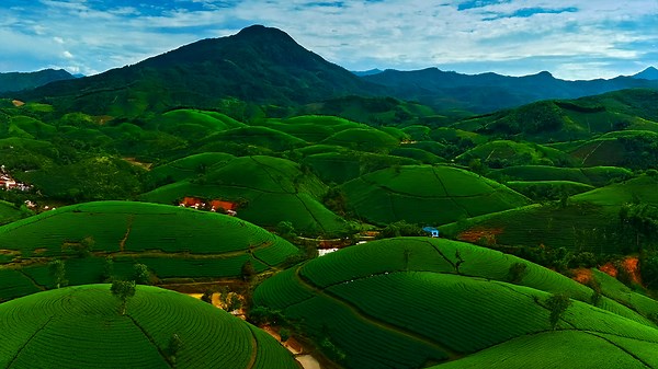 Endless Journey – Exploring Nature in 4K