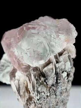 Fluorite with Muscovite - Pakistan | Fine Art Minerals | Fine | Mineral | Specimen |