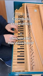 The cembalo cromatico is a BEAST of an instrument!!! 😍😍😍 #piano #harpsichord #chromatic #bach #music #baroque | Thilo Abend