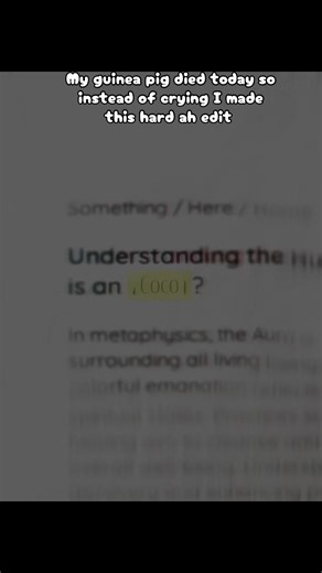 Rip coco 2019-2026 #rip #guineapig #fyp #capcut #sad | Guinea Pig