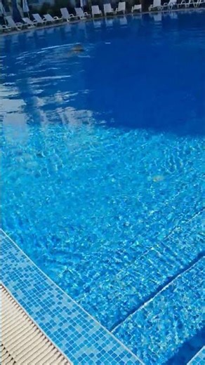 26 декабря 2025 г.