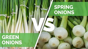 Scallions, green onions, spring onions...oh my?! These names are used interchangeably and often wrong. So what is what? I explain it all in this video. | Jerry James Stone