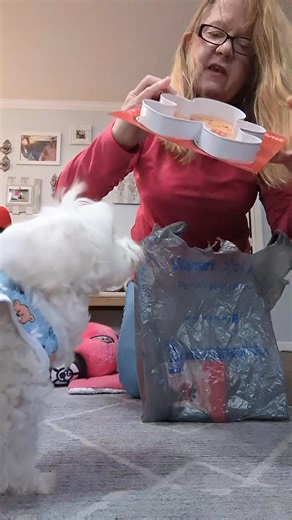 8.9K views · 1.4K reactions | *Early Birthday presents for Roxy Rose * Correction: Her hat was ordered from Amazon not Marshalls. Y'all know I get nervous when I have to be in front of the camera  | Roxy Rose's World | Facebook