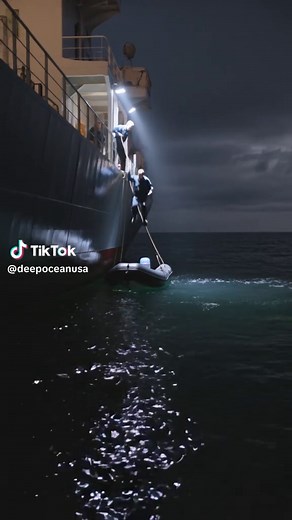 Incredible Night Shark Attack Caught on Camera