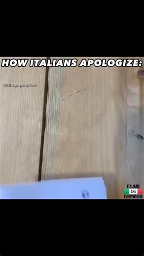 Italians Are Everywhere ™ | How Italians apologize 😂🇮🇹 | Instagram