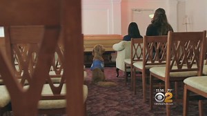 CANINE COMFORT: Some funeral homes are now offering grieving families the chance to spend time with comfort dogs to help them heal. CBS2's Dana Tyler has more: http://cbsloc.al/2sQgQsj | CBS New York