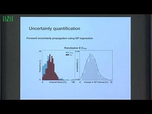 FHTW01 | Dr. Francisco Sahli Costabal | Classifying drugs by their arrhythmogenic risk