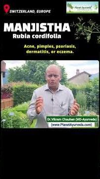 Manjishtha / Rubia cordifolia - Ayurvedic Medicinal Herb for Blood Purification & Skin Disorders