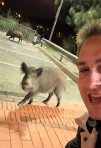 Mi #jabata siempre conmigo 🤞🏻❤️😜 #fyp #humorespaña