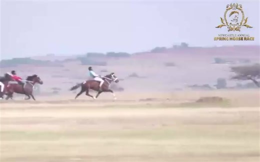 mzamopraza@gmail.com (@mzamoprazagmail.com2)’s videos with original sound - MJOLISI