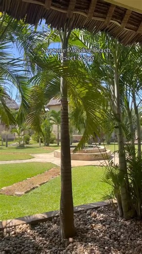 Stejos Tours & Travel Limited. on Instagram: "Breathe in the fresh coastal air and soak up the stunning views at Neptune Paradise Beach Resort & Spa, one of Diani’s top spots for the ultimate getaway. For Booking and More information! ☎️ : 0799 030 781 | +254 715 293 975 | 0795 046 018 📩 : info@stejostours.co.ke 🌐 : stejostours.com 📍: Krishna Centre, Westlands 2nd Floor D10 #travelwithus #adventureawaits #africa #getaway #magicalkenya #travel #views #tembeakenya #beach #vacation"