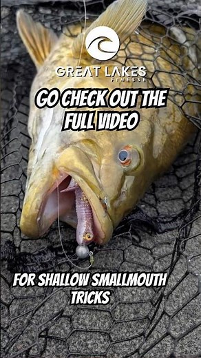 Learn This SUPER Easy System For Catching Shallow Smallmouth Up North!