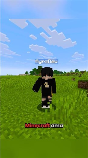 Minecraft's Smallest House