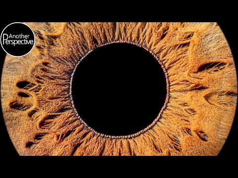 Irisfotografie | Das perfekte Augenfoto | Tutorial Deutsch