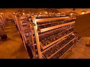 Vertical farming at its finest! Strawman farm with Sky Greens Technology