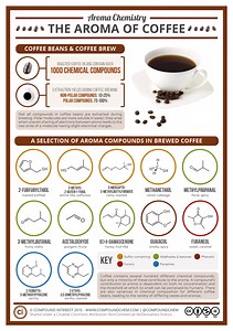 Unit 7: Organic Chemistry