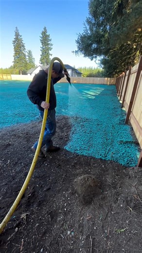 Fastest Way to Grow Grass