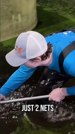 Saving Rare Fish Living in Abandoned Pond... #fishing #fish #rarefish #animals