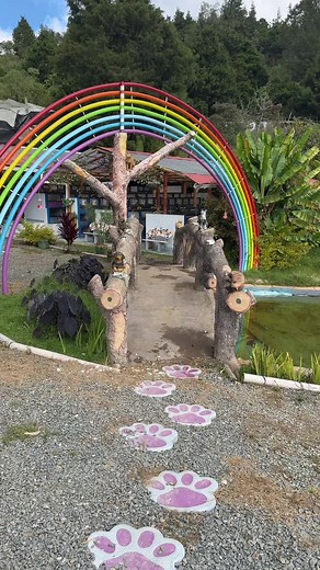 Funeral Pet on TikTok