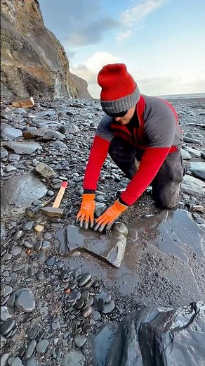 We found a GOLDEN Jurassic Age limestone ball of rock on a remote beach