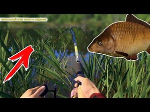 НЕРЕАЛЬНЫЙ КЛЕВ РЫБЫ НА МЕДНОМ! САДОК ПОЛНОСТЬЮ ЗАБИТ РЫБОЙ!