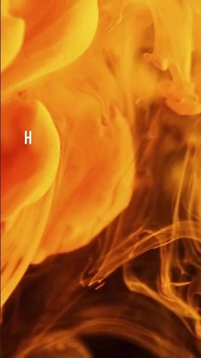 GENE Expression Regulation! Change of Morula cells to Blastocyst cells! Class 11 Biology #stemcells