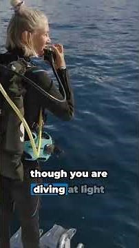 Divers Pocket Essentials Gear for Any Dive Scenario