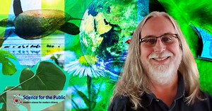 Biodiversity in the Sixth Mass Extinction