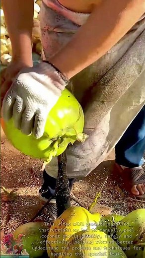 How to Shell a Coconut || Unique Skills