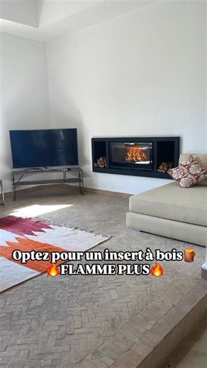 Flamme Plus on Instagram: "👉🏼 Remplacer votre cheminée traditionnelle avec un insert à bois ▪️Performance▪️Sécurité ❗️ Faites Appel à 🔥 FLAMME PLUS 🔥 #fireplace #cheminée #chauffage"