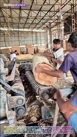 Watch a Massive Log Feed into a Giant Rotary Debarker with Raw Power and Perfect Control! 🪵⚙️