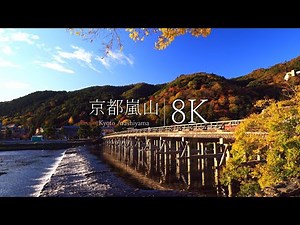 【Kyoto in 8K】Arashiyama's 4 Fantastic Views of Autumn Leaves You Want to See Before You Die