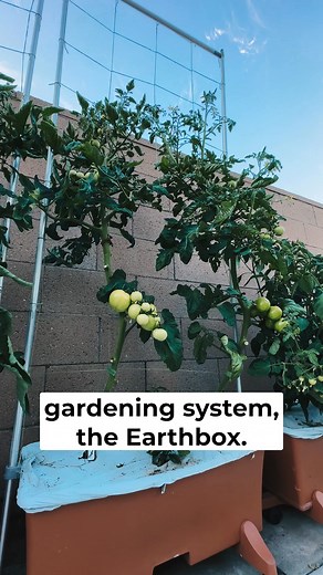 3 comments | OUR BIGGEST SALE OF THE YEAR!  Plus new product launch & giveaway  | EarthBox | Facebook