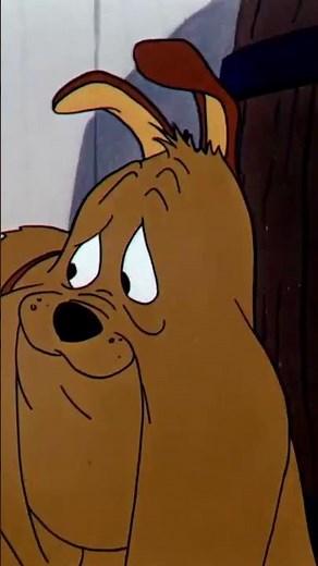 ¿Hay mejor sensación que un gato eligiendo TU falda para dormir? |‪@WBKidsLatino‬