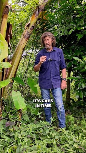 Nature Leaves No Gaps #permaculture #permaculturedesign #ecosystem